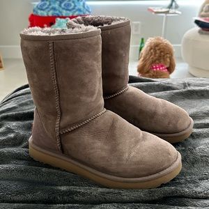 UGG classic short boot size 8 Gray